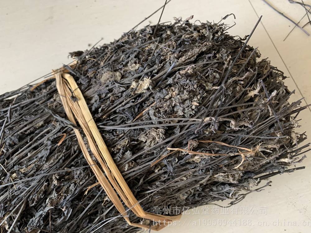 金吉列德国留学